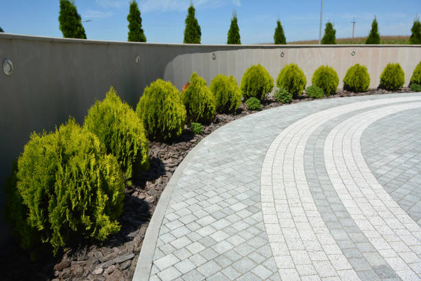 Best Affordable Driveway Pavers  in Myrtle Beach, SC