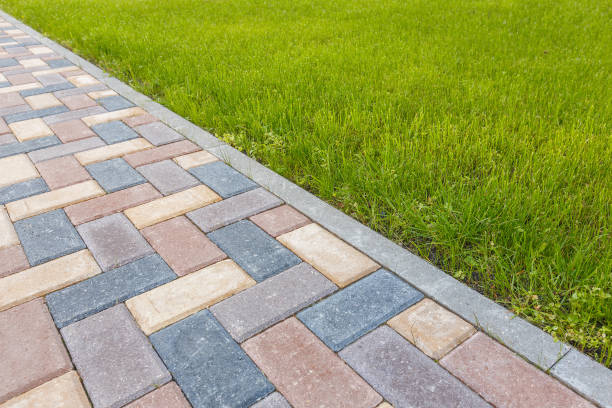 Best Driveway Paving Near Me  in Myrtle Beach, SC